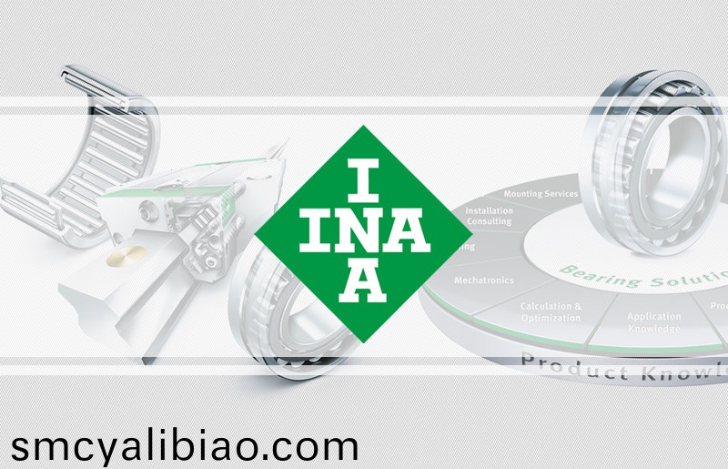 INA Bearing