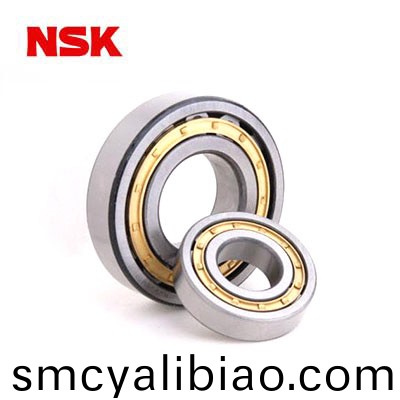 Precision cylindrical roller bearing