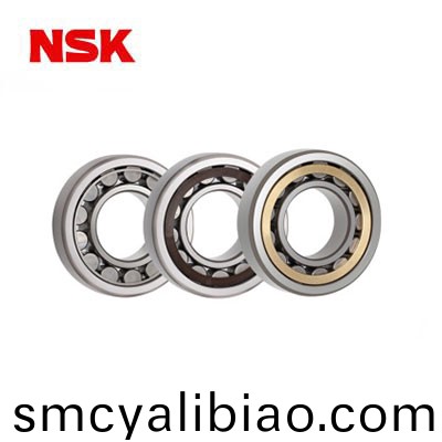 NSK cylindrical roller bearing